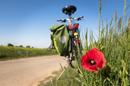 to-go-biking-5178398_640.jpg